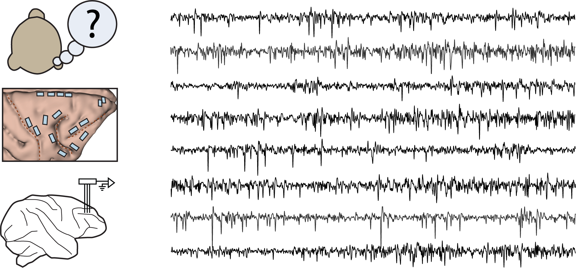 Tian Lab