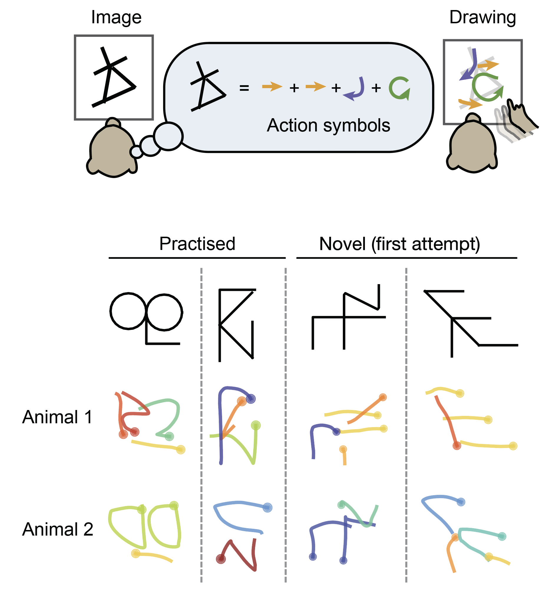 Figure 1 from Neural representation of action symbols in primate frontal cortex