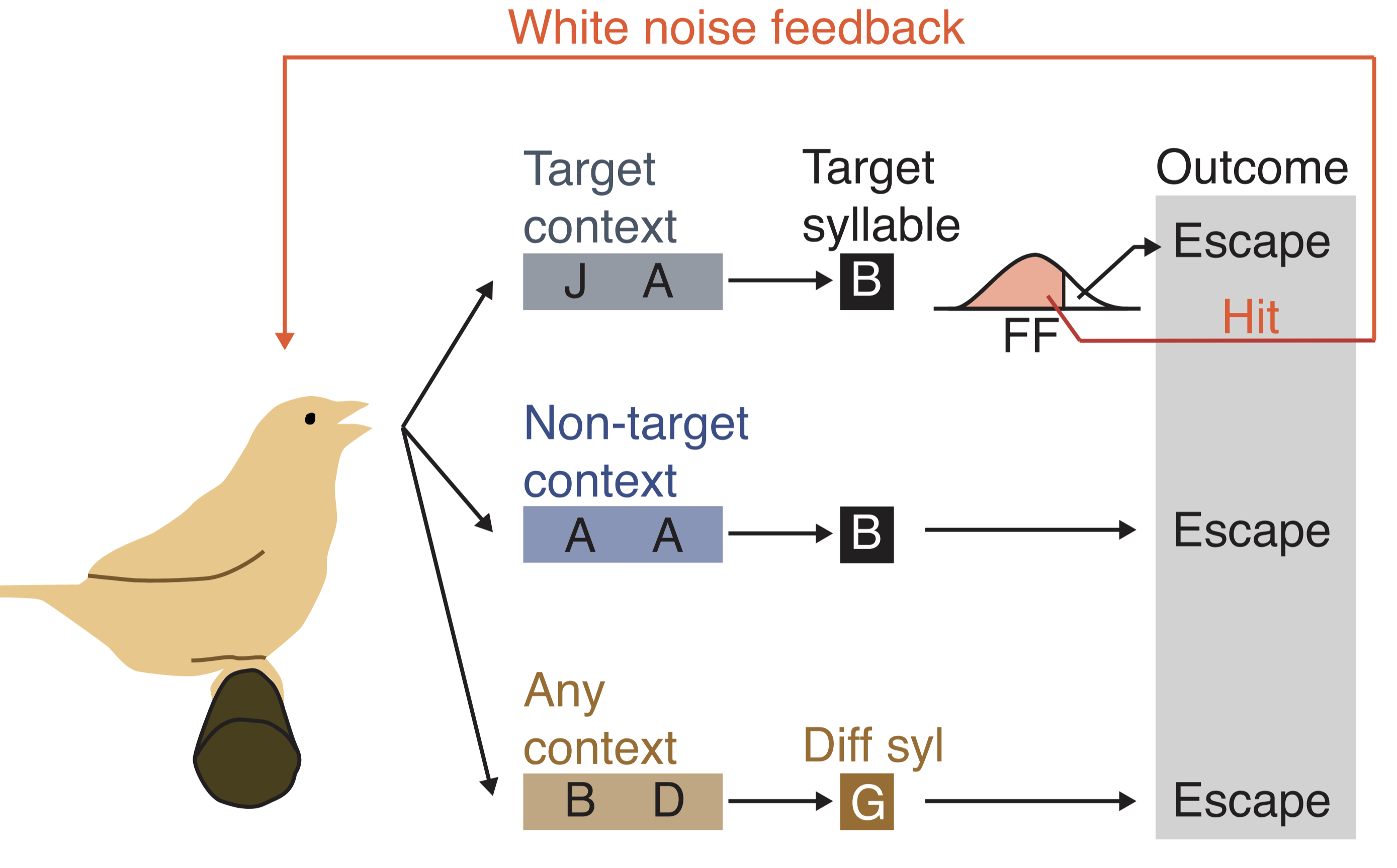 Figure 1 from Discrete circuits support generalized versus context-specific vocal learning in the songbird